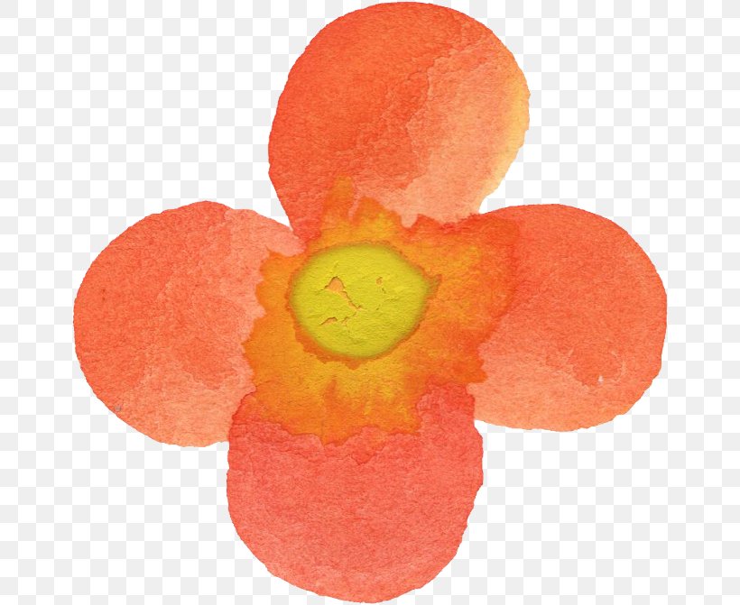 Watercolor Painting Flower Petal, PNG, 662x671px, Watercolor Painting, Com, Flower, Fruit, Orange Download Free