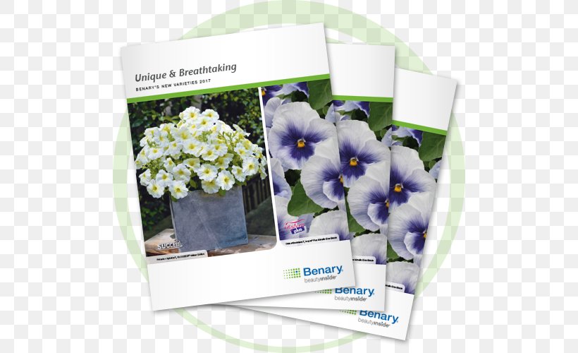 Brochure Information Flyer McDonald's Catalog, PNG, 500x500px, 2017, Brochure, Artificial Flower, Begonia, Catalog Download Free