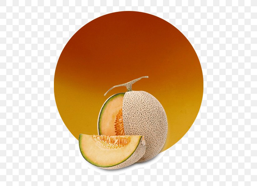 Cantaloupe Juice Grapefruit Orange Vegetarian Cuisine, PNG, 536x595px, Cantaloupe, Citric Acid, Citrus, Concentrate, Cucumber Gourd And Melon Family Download Free