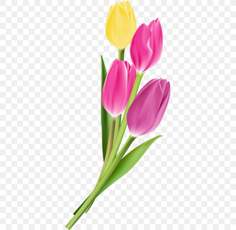 Flower Tulip Photography, PNG, 367x800px, Flower, Art, Cut Flowers, Decoupage, Drawing Download Free