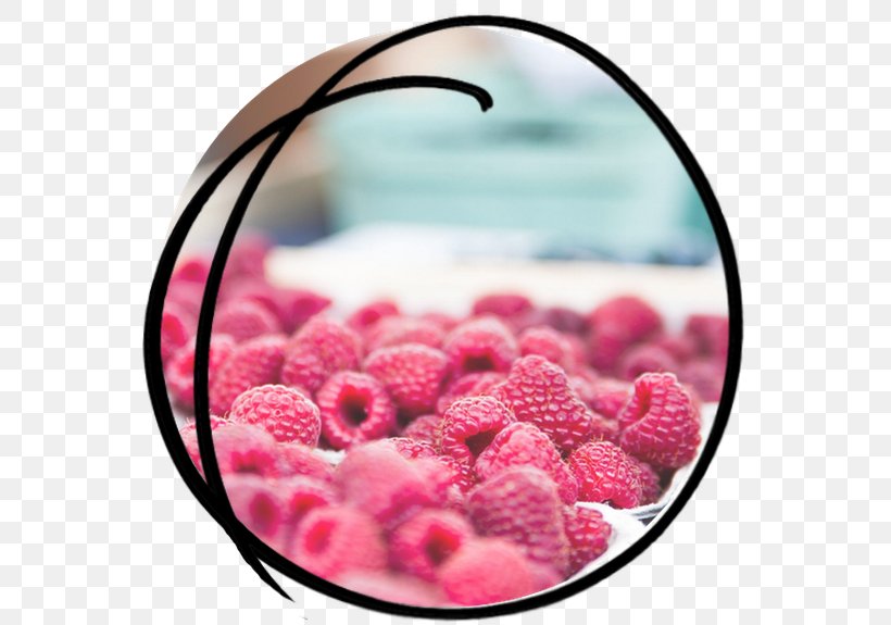 Sorbet Raspberry Food Fruit, PNG, 575x575px, Sorbet, Berry, Blueberry, Bowl, Chocolate Download Free