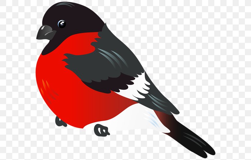 Bird Parrot Northern Cardinal Clip Art, PNG, 600x523px, Bird, Beak, Blog, Domestic Canary, Northern Cardinal Download Free
