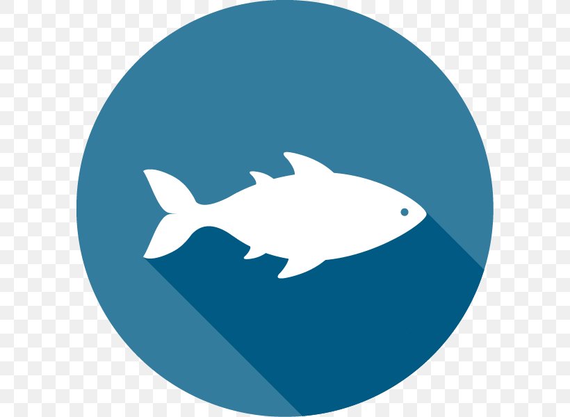 Virginia Department Of Motor Vehicles Fish Seafood Knowledge Test, PNG, 600x600px, Fish, Android, Department Of Motor Vehicles, Dolphin, Electric Blue Download Free