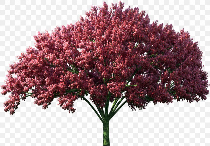 Tree GIF Computer File Digital Image, PNG, 916x640px, Tree, Animaatio, Blossom, Branch, Color Download Free