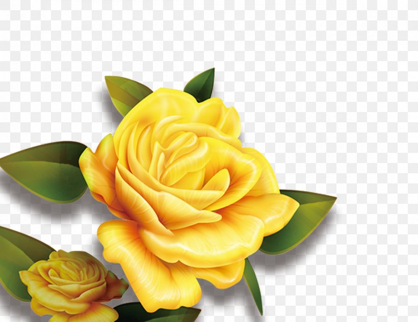 Rose Yellow Flower High-definition Television Wallpaper, PNG, 1200x926px, Rose, Blue, Blue Rose, Color, Cut Flowers Download Free