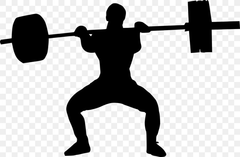 Barbell Clip Art, PNG, 1024x670px, Barbell, Arm, Balance, Exercise Equipment, Hand Download Free