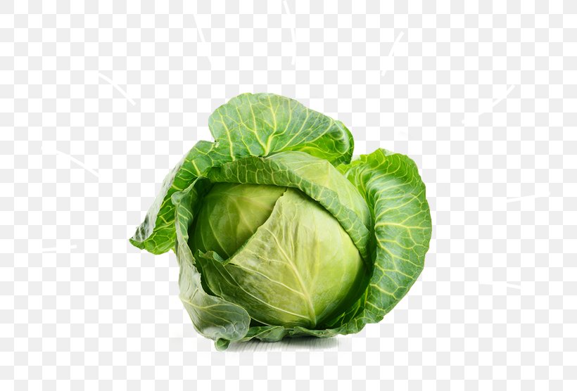 Cabbage Vegetable Broccoli Beetroot, PNG, 750x556px, Cabbage, Amet, Beetroot, Broccoli, Brussels Sprout Download Free