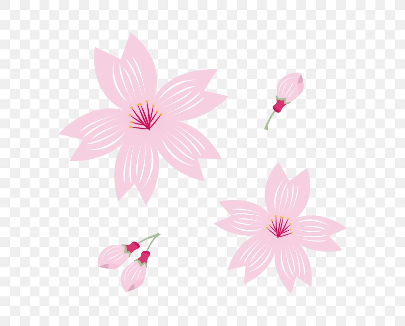 Flowering Plant Floral Design Petal, PNG, 660x660px, Flower, Flora, Floral Design, Flowering Plant, Petal Download Free