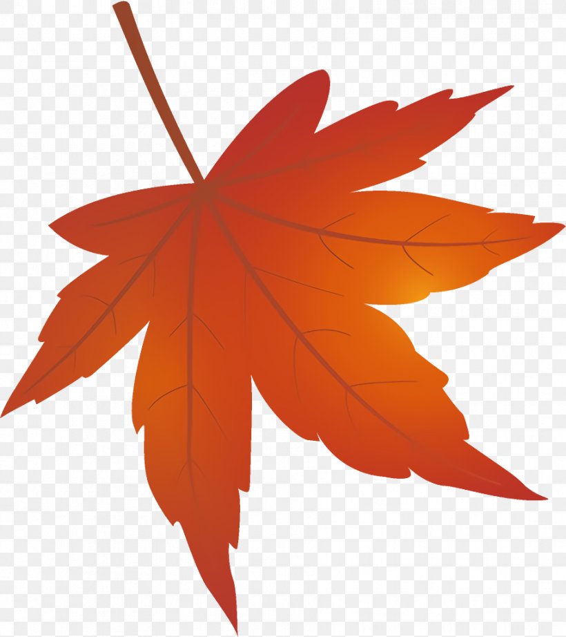 Maple Leaf Autumn Leaf Yellow Leaf, PNG, 912x1026px, Maple Leaf, Autumn Leaf, Black Maple, Leaf, Maple Download Free