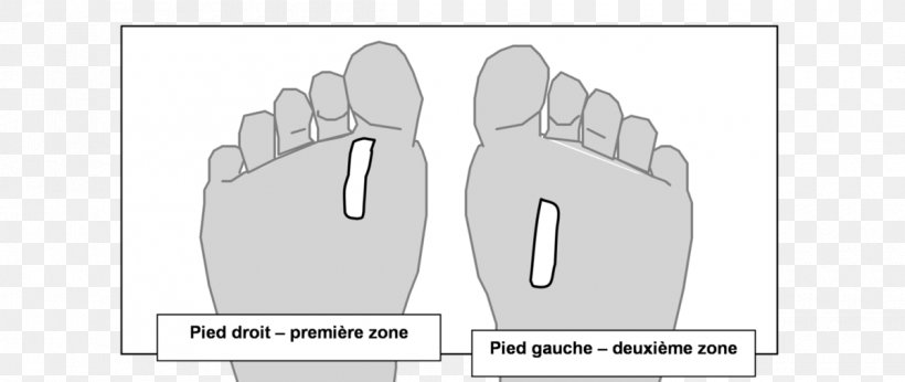 Thumb Foot Esophagus Reflexology Larynx, PNG, 1200x507px, Watercolor, Cartoon, Flower, Frame, Heart Download Free