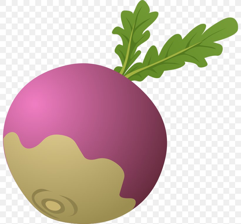 The Gigantic Turnip Vegetable Clip Art, PNG, 800x763px, Gigantic Turnip, Beetroot, Blog, Cartoon, Computer Download Free