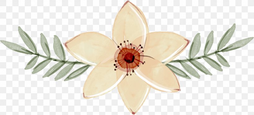 Floral Design Graphic Design User Interface Design, PNG, 1609x727px, Floral Design, Cut Flowers, Flora, Floristry, Flower Download Free