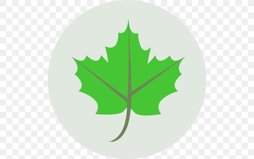 Leaf NuGet, PNG, 512x512px, Leaf, Box, Buxus Sempervirens, Description, Green Download Free