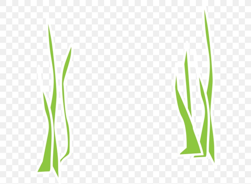 Seaweed Clip Art, PNG, 601x602px, Seaweed, Brand, Commodity, Grass, Grass Family Download Free