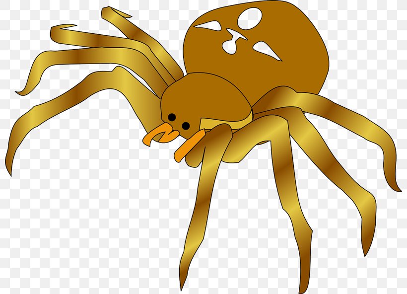 Spider Free Content Clip Art, PNG, 800x592px, Spider, Arthropod, Brown Recluse Spider, Cartoon, Fictional Character Download Free
