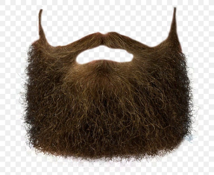 World Beard And Moustache Championships Clip Art, PNG, 741x671px, Beard, Facial Hair, Fur, Hair, Man Download Free