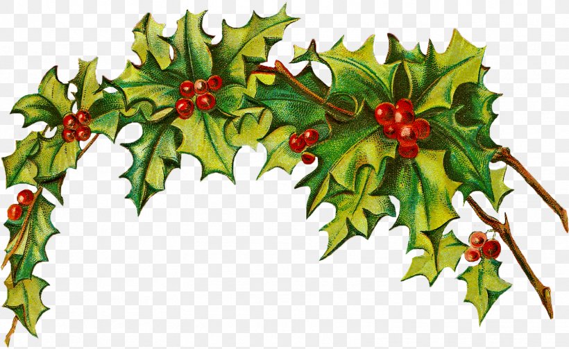 Christmas Clip Art, PNG, 1613x990px, Christmas Day, American Holly, Borders And Frames, Christmas Decoration, Christmas Eve Download Free