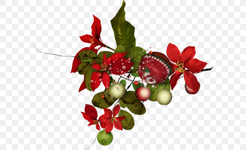 Holly, PNG, 600x500px, Holly, Anthurium, Berry, Flower, Fruit Download Free