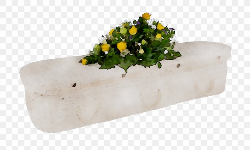 Plastic Flowerpot Product Design, PNG, 1140x684px, Plastic, Flower, Flowerpot, Plant Download Free