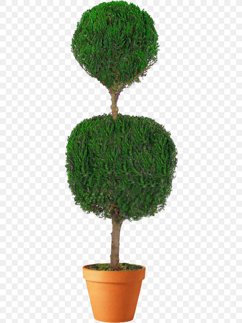 Topiary Tree Arborvitae Box Evergreen, PNG, 384x1094px, Topiary, Arborvitae, Architectural Engineering, Bay Laurel, Berry Download Free