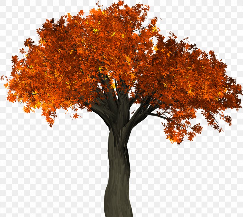 Tree Autumn Leaf Color Trunk, PNG, 1280x1144px, Tree, Autumn, Autumn Leaf Color, Branch, Color Download Free