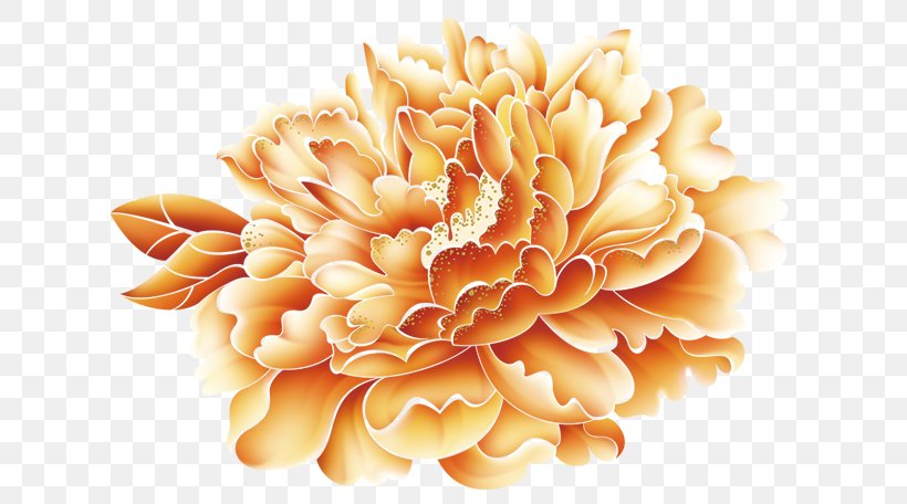 Umbrella Image Download Vector Graphics, PNG, 635x456px, Umbrella, Advertising, Antuca, Chrysanths, Flower Download Free