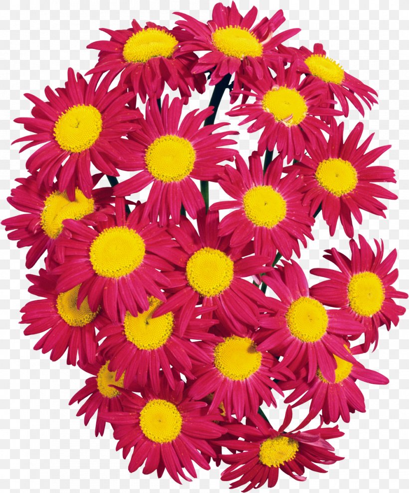 Cut Flowers Floral Design Floristry Petal, PNG, 995x1200px, Flower, Annual Plant, Argyranthemum Frutescens, Aster, Chrysanthemum Download Free