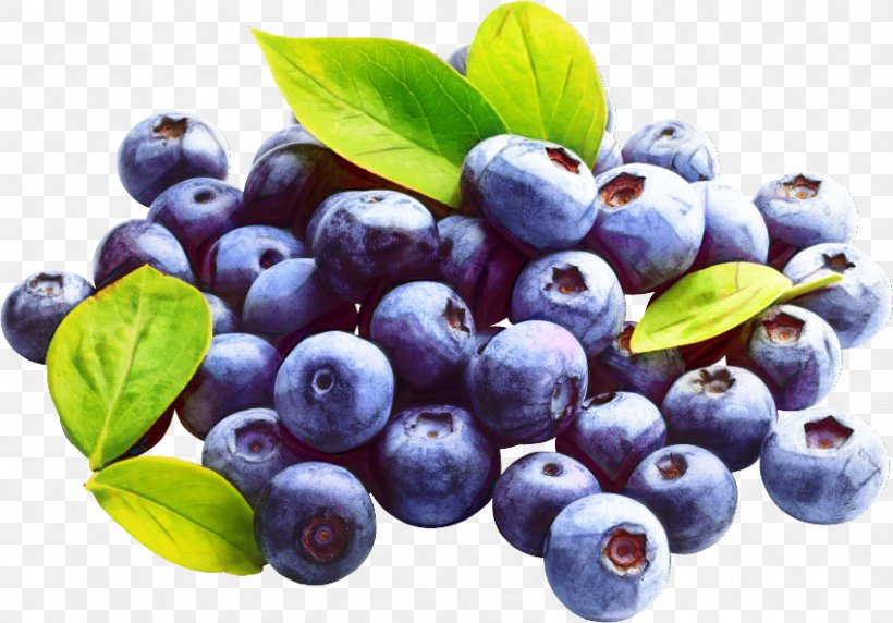 Fruit Tree, PNG, 849x593px, Blueberry, Berries, Berry, Bilberry, Chokeberry Download Free
