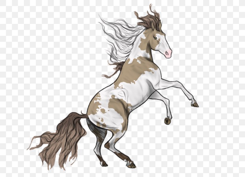 Mane Mustang Foal Colt Stallion, PNG, 664x593px, Mane, Art, Colt, Deer, Drawing Download Free