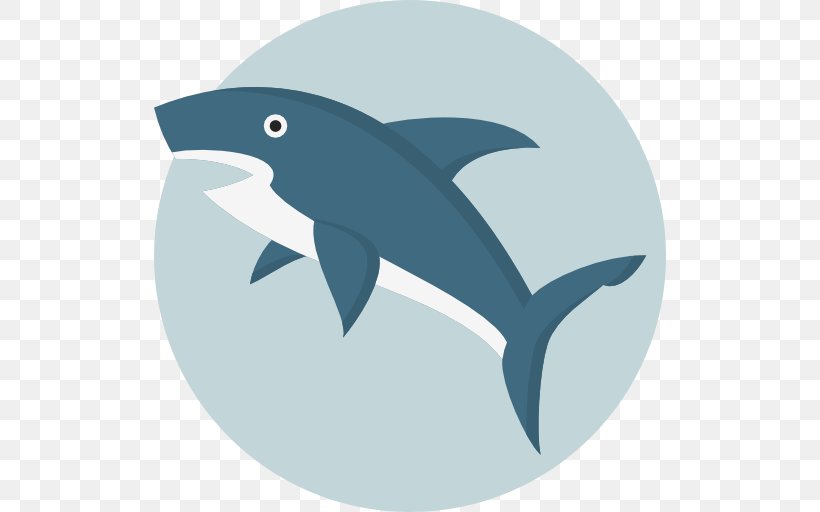 Shark, PNG, 512x512px, Shark, Animal, Aquatic Animal, Blog, Cartilaginous Fish Download Free
