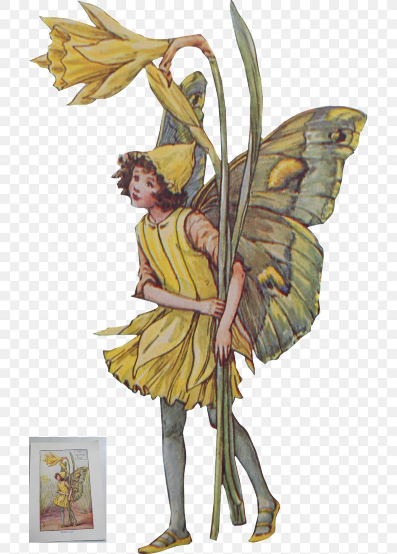 A Flower Fairy Alphabet The Book Of The Flower Fairies The Flower Fairies Complete Collection Flower Fairies Library: Flower Fairies Of The Trees, PNG, 699x1143px, Fairy, Bibliography, Book, Book Of The Flower Fairies, Cicely Mary Barker Download Free