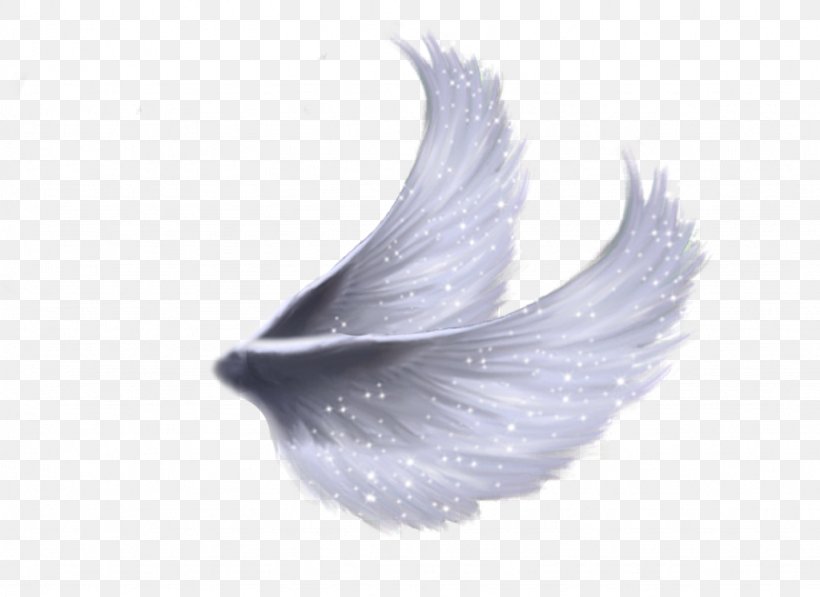 Angel Wing Feather, PNG, 1024x746px, Wing, Angel, Angel Wing, Feather, Image Editing Download Free