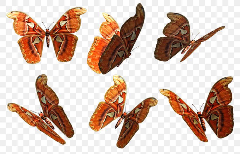 Butterfly Moth Clip Art, PNG, 1024x660px, Butterfly, Arthropod, Butterfly Chair, Deviantart, Insect Download Free