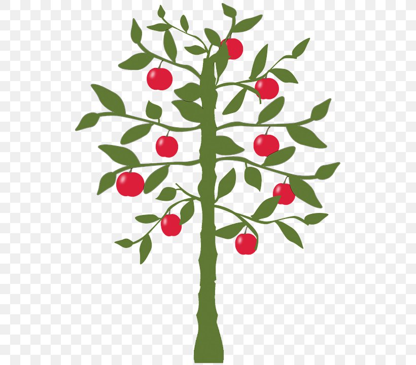 Lemon Fruit Tree Apple Citrus × Sinensis, PNG, 523x720px, Lemon, Apple, Banana, Branch, Citrus Download Free