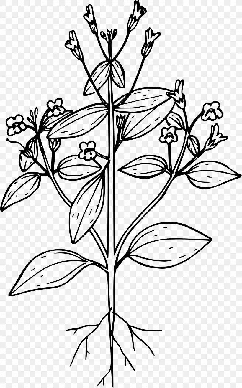 Line Art Drawing Clip Art, PNG, 1494x2400px, Line Art, Black And White, Botanical Illustration, Branch, Cross Download Free