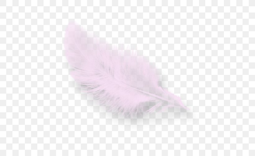 Pink M Feather RTV Pink, PNG, 500x500px, Pink M, Feather, Pink, Quill, Rtv Pink Download Free