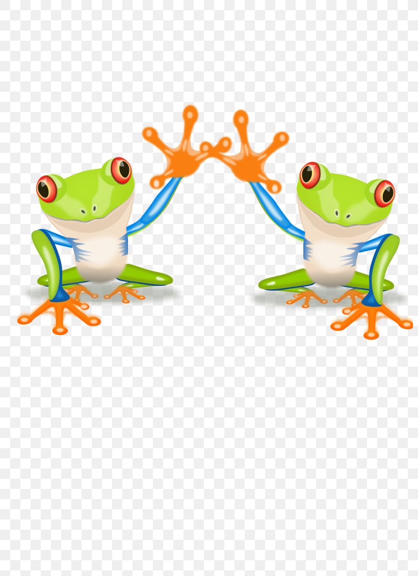 Red-eyed Tree Frog Clip Art, PNG, 800x1131px, Frog, Amphibian, Animal, Animal Figure, Drawing Download Free