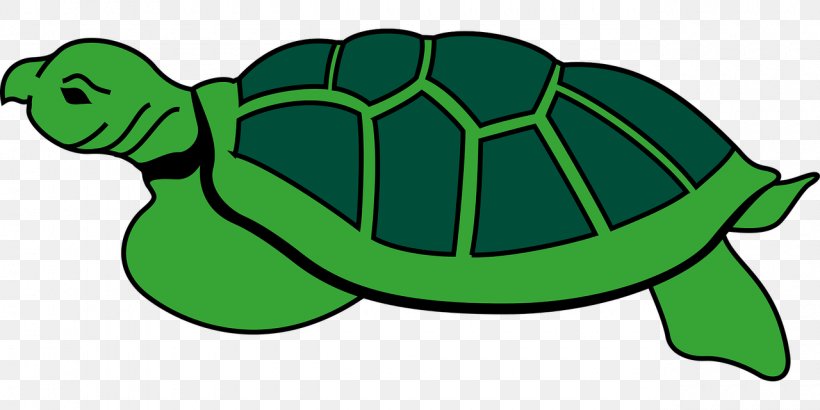 Sea Turtle Reptile Tortoise Clip Art, PNG, 1280x640px, Turtle, Animal, Box Turtle, Eastern Box Turtle, Green Download Free