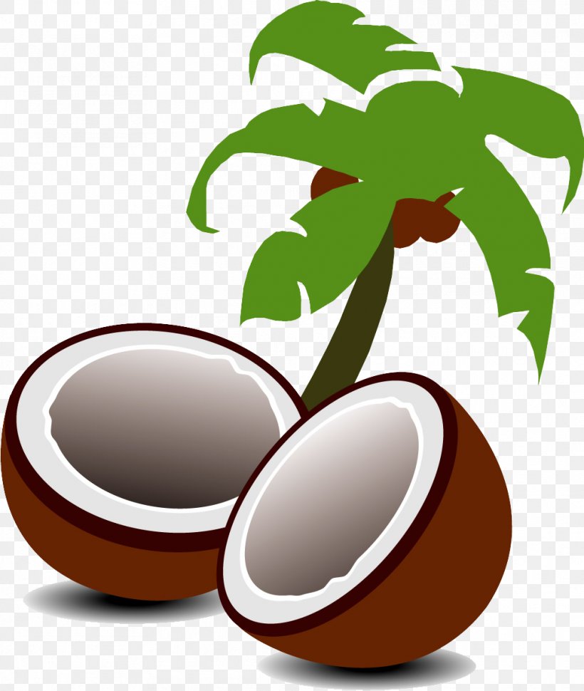 Coconut Water Coconut Milk Fruit Tree, PNG, 1011x1196px, Coconut Water, Auglis, Coconut, Coconut Milk, Drink Download Free