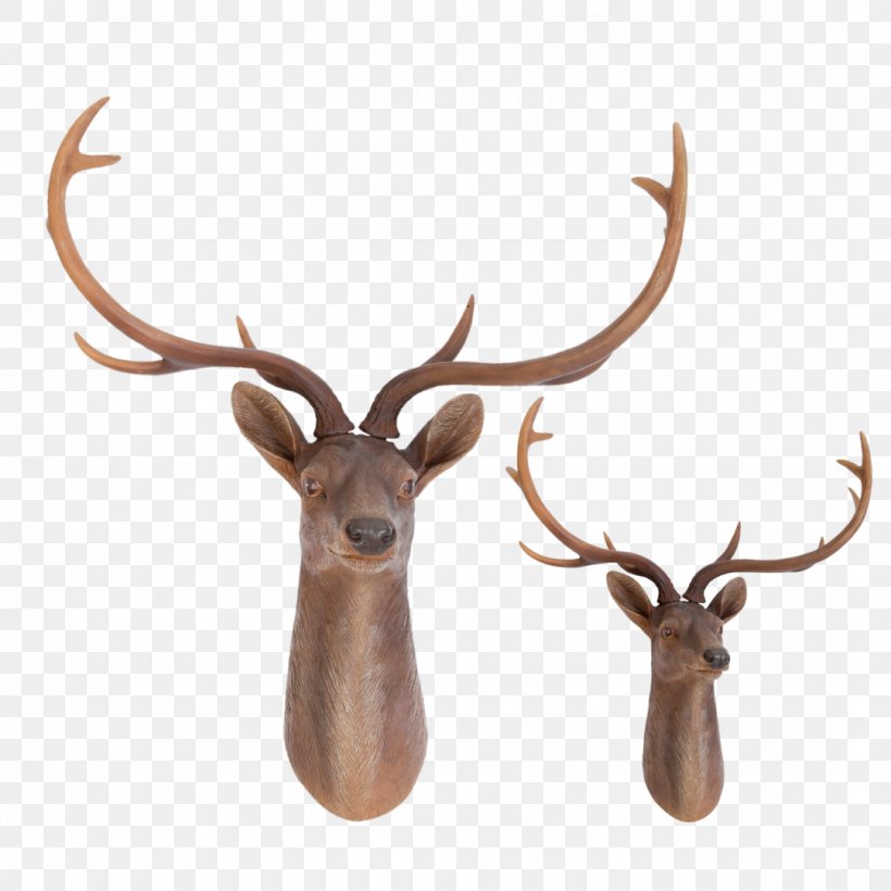 Elk Trophy Hunting Red Deer Reindeer, PNG, 1080x1080px, Elk, Antler, Common Wood Pigeon, Deer, Horn Download Free