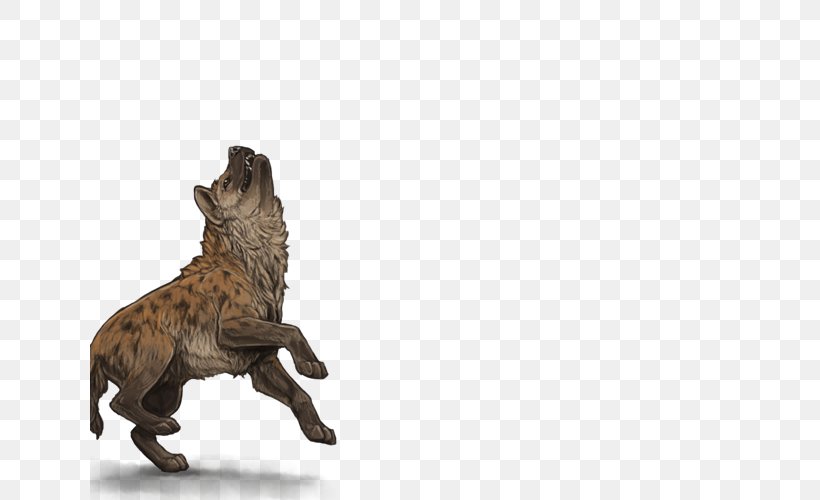 Lion Spotted Hyena Cat Carnivora, PNG, 640x500px, Lion, Animal, Canidae, Carnivora, Carnivoran Download Free