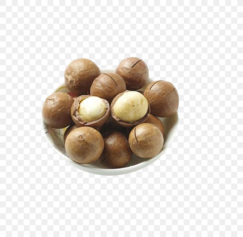 Macadamia Australia Walnut Zinc, PNG, 800x800px, Macadamia, Alloy, Australia, Customer, Designer Download Free