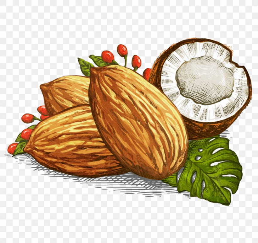 Macadamia Nut Superfood Bar Almond, PNG, 1024x969px, Macadamia, Almond, Food, Fruit, Gram Download Free
