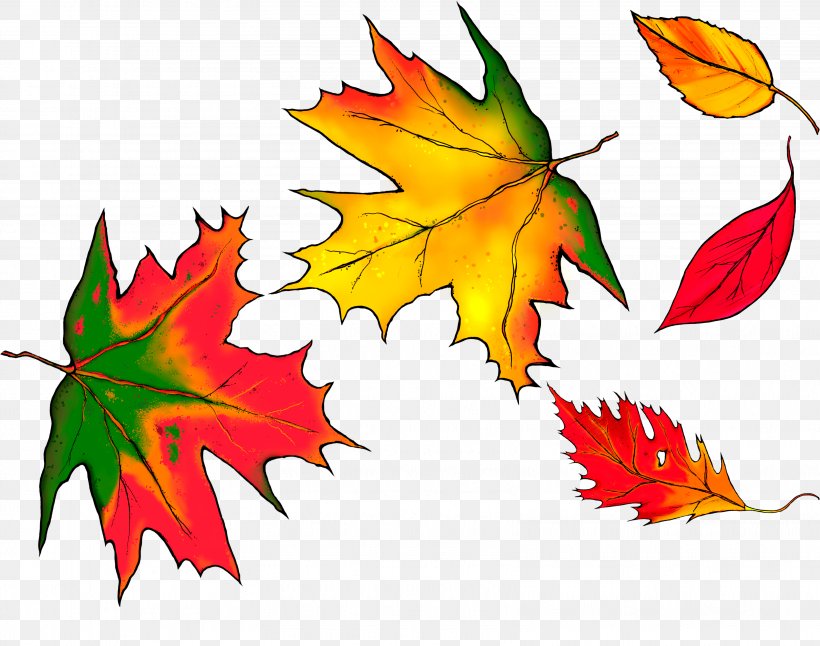 Autumn Leaves Maple Leaf, PNG, 3242x2555px, Autumn Leaves, Autumn, Autumn Leaf Color, Deciduous, Flowering Plant Download Free