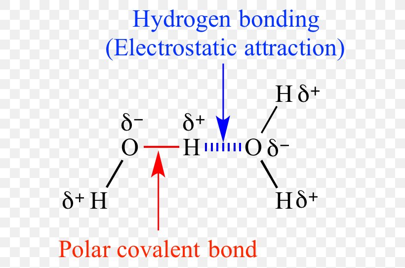 Chemical Polarity Organic Chemistry Molecule Covalent Bond, PNG, 599x542px, Watercolor, Cartoon, Flower, Frame, Heart Download Free