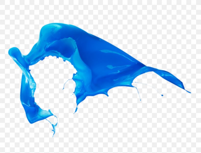 Color Splash Paint Wall Wallpaper, PNG, 920x700px, Color, Blue, Cobalt Blue, Color Chart, Dolphin Download Free