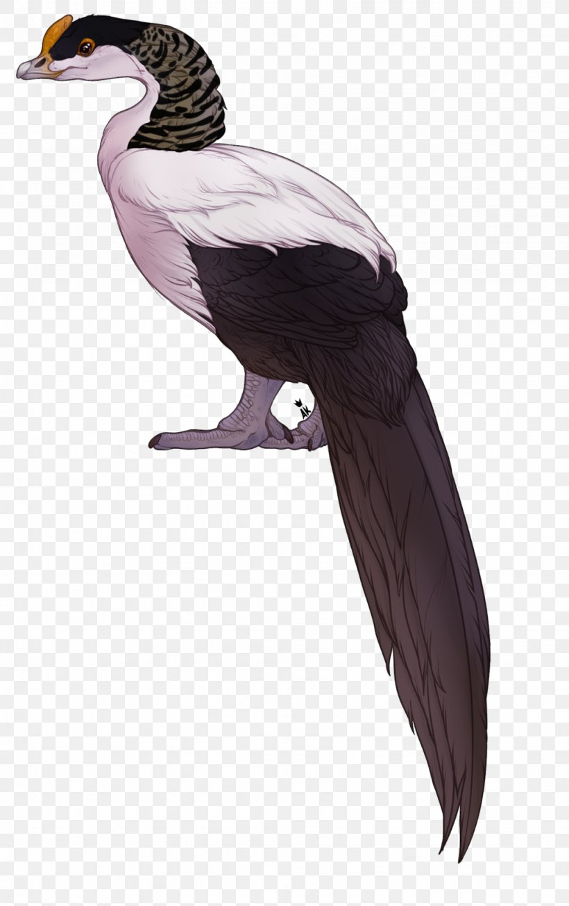 Duck Vulture Fauna Beak Neck, PNG, 1024x1629px, Duck, Beak, Bird, Ducks Geese And Swans, Fauna Download Free