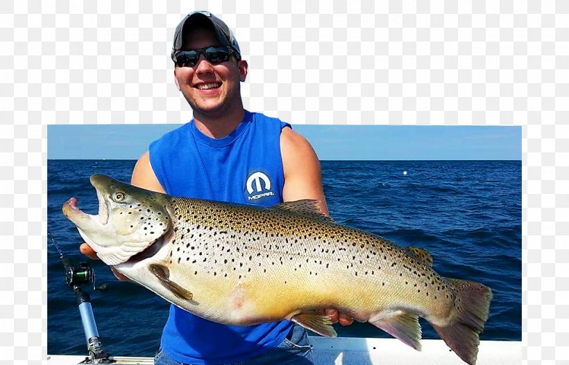 Lake Ontario Salmon River Fishing, PNG, 1000x643px, Lake Ontario, Big Pine Key, Brown Trout, Cod, Fish Download Free