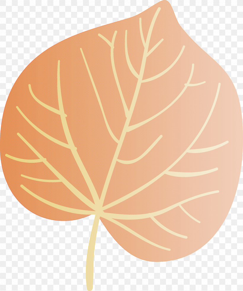 Autumn Leaf Colourful Foliage Colorful Leaves, PNG, 2506x3000px, Autumn Leaf, Autumn, Autumn Leaf Color, Colorful Leaf, Colorful Leaves Download Free