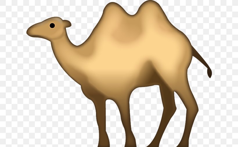 Bactrian Camel Dromedary Emojipedia IPhone, PNG, 640x509px, Bactrian Camel, Arabian Camel, Camel, Camel Like Mammal, Cattle Like Mammal Download Free